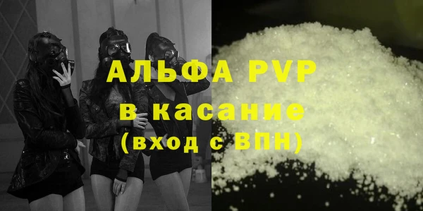 прущие грибы Белокуриха