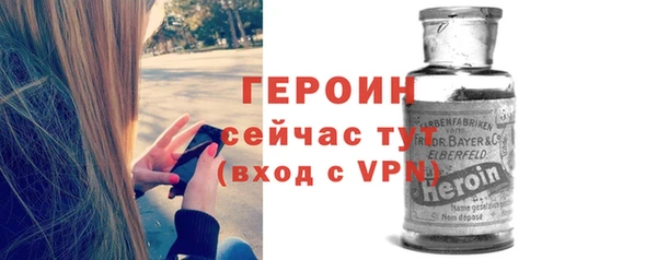 прущие грибы Белокуриха