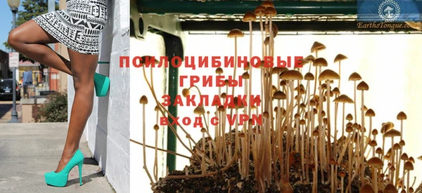 spice Богданович