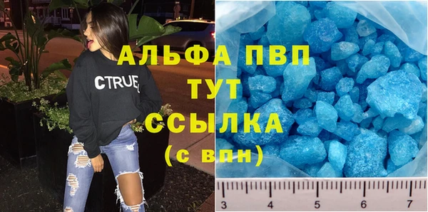 spice Богданович