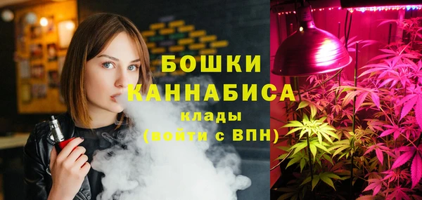 прущие грибы Белокуриха