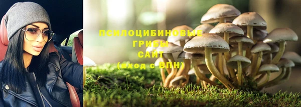 прущая мука Беломорск
