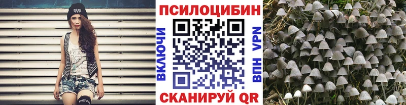 Галлюциногенные грибы Psilocybe  Энем 